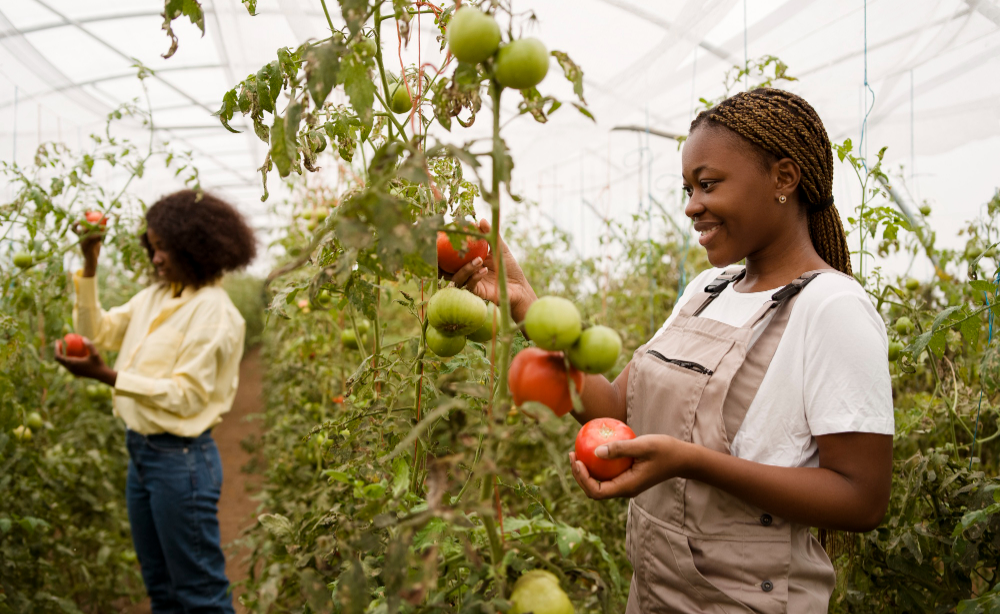 Agriculture et agrobusiness ID KAPITAL